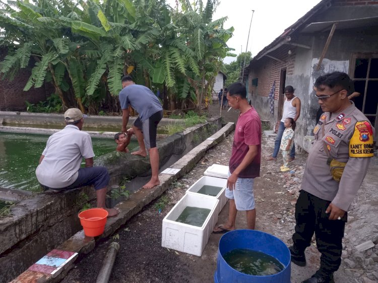 Kanit Binmas Polsek Krembung Apresiasi Warga Panen Ikan Gurami
